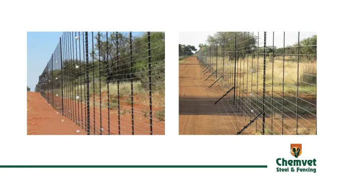 The right fencing matters | Chemvet Steel & Fencing