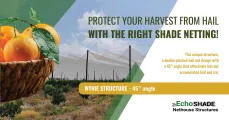 Protect your harvest from hail with the right shade netting | Echoshade Nethouse Construction