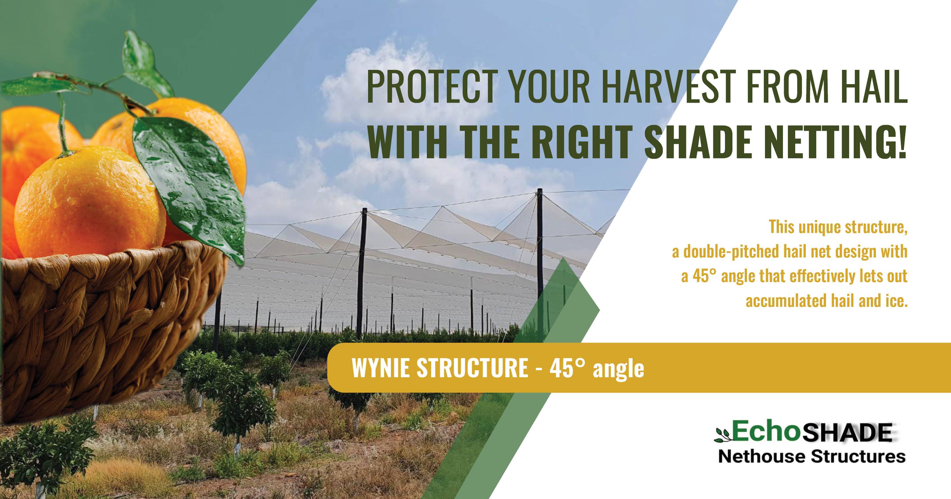 Protect your harvest from hail with the right shade netting | Echoshade Nethouse Construction