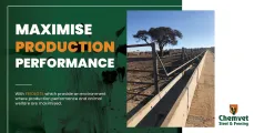 Maximise production performance with Feedlots | Chemvet Steel & Fencing