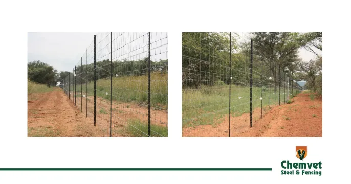 Customised fencing solutions | Security fencing solutions | Chemvet Steel & Fencing