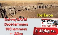 Dohne/SAVM | T.G Hendriks boerdery