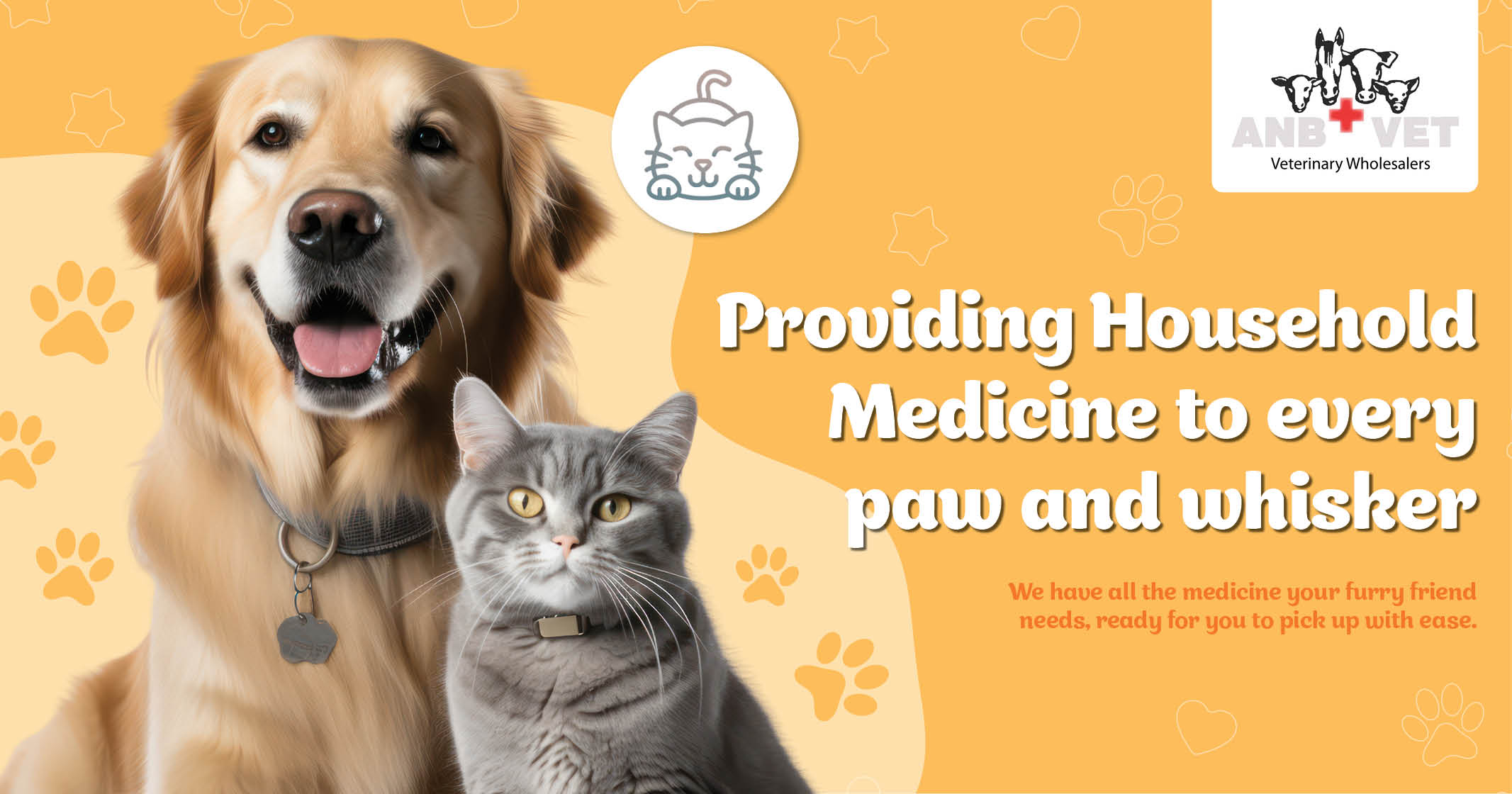 Household pet medicine | ANB Vet