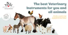 Veterinary instruments | ANB Vet