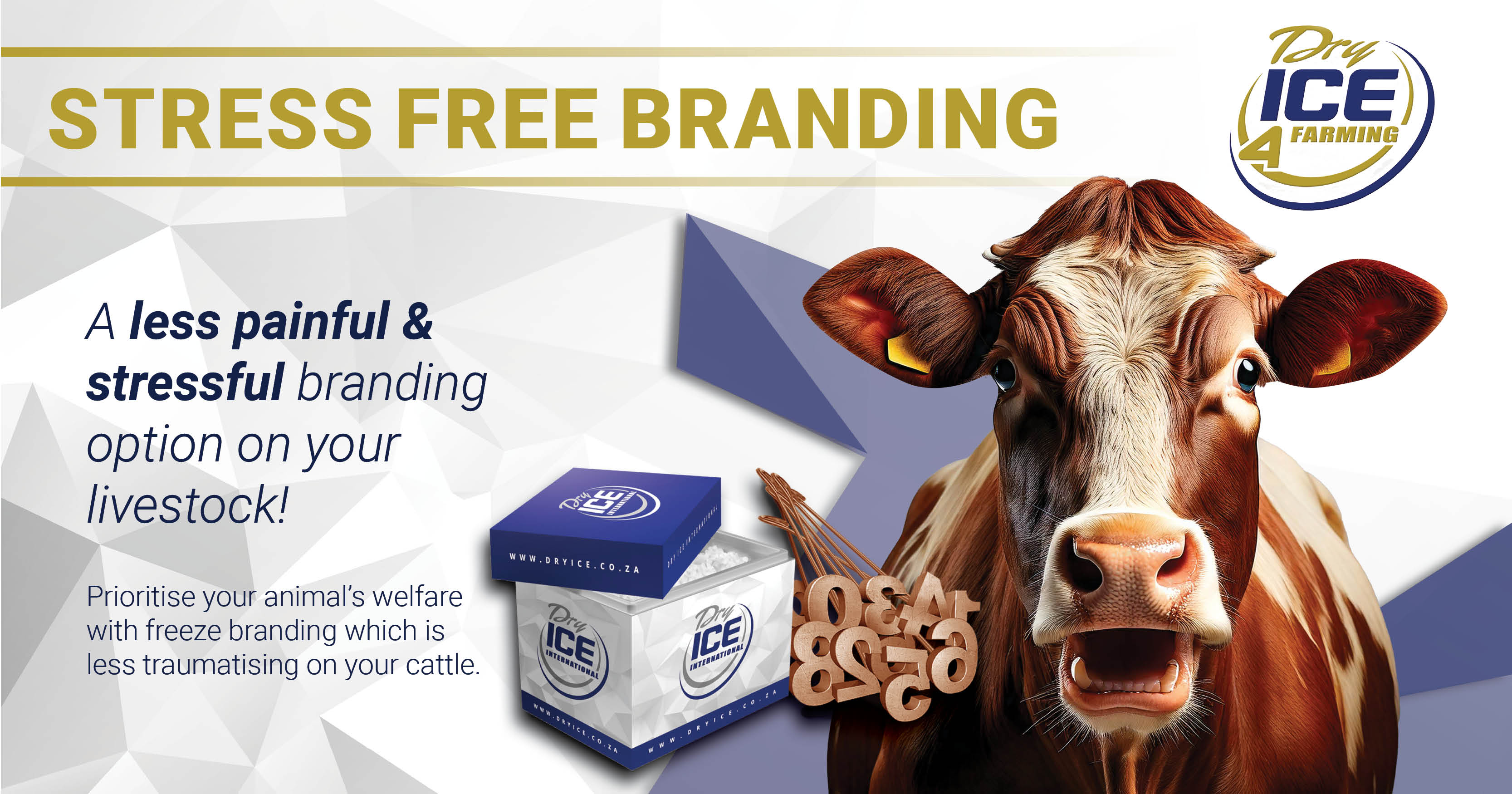 A less painful & stressful branding option on your livestock | Dry Ice 4 Farming