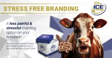 A less painful & stressful branding option on your livestock | Dry Ice 4 Farming