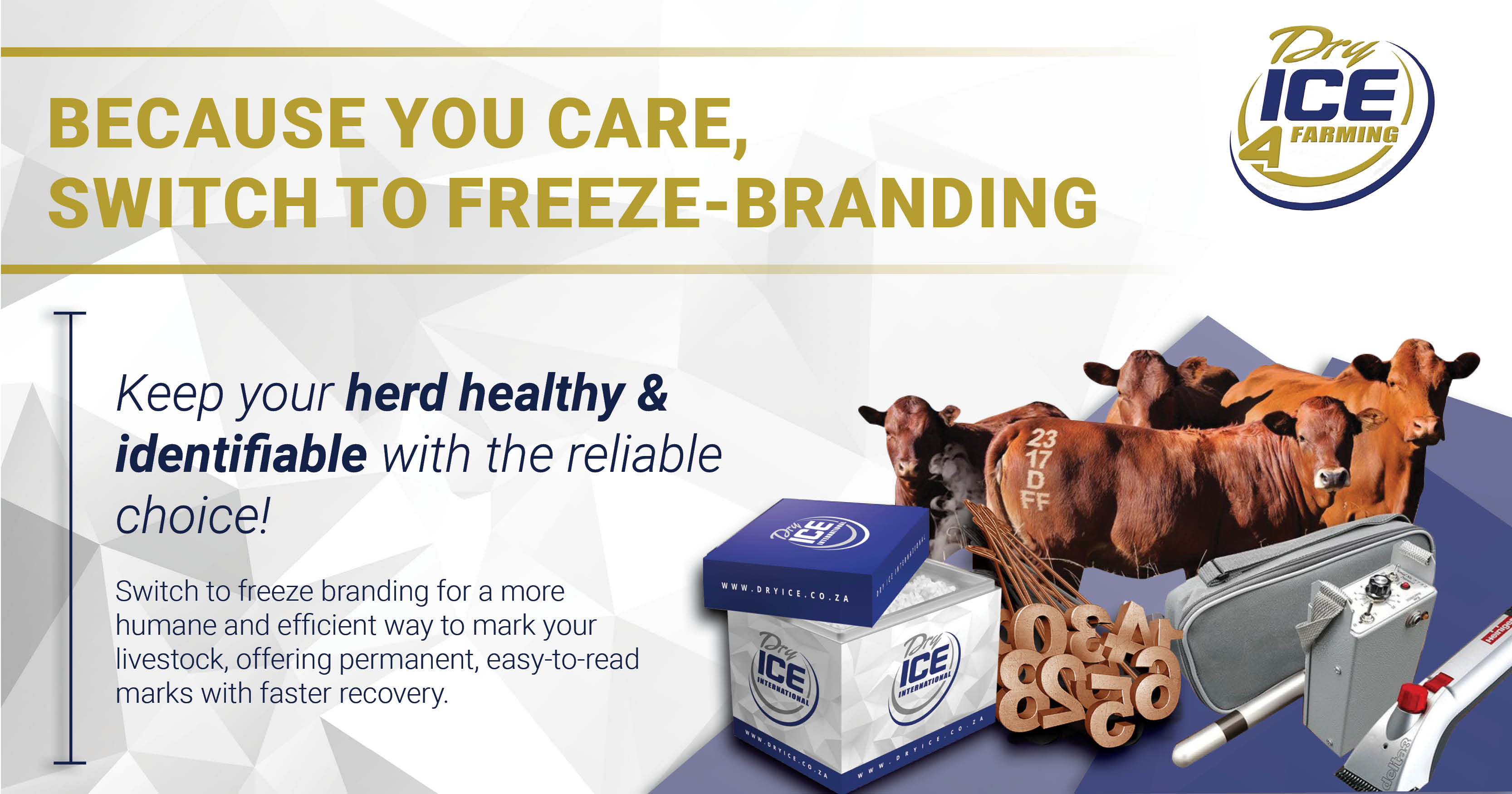 Keep your herd healthy & identifiable with the reliable choice! | Dry Ice 4 Farming