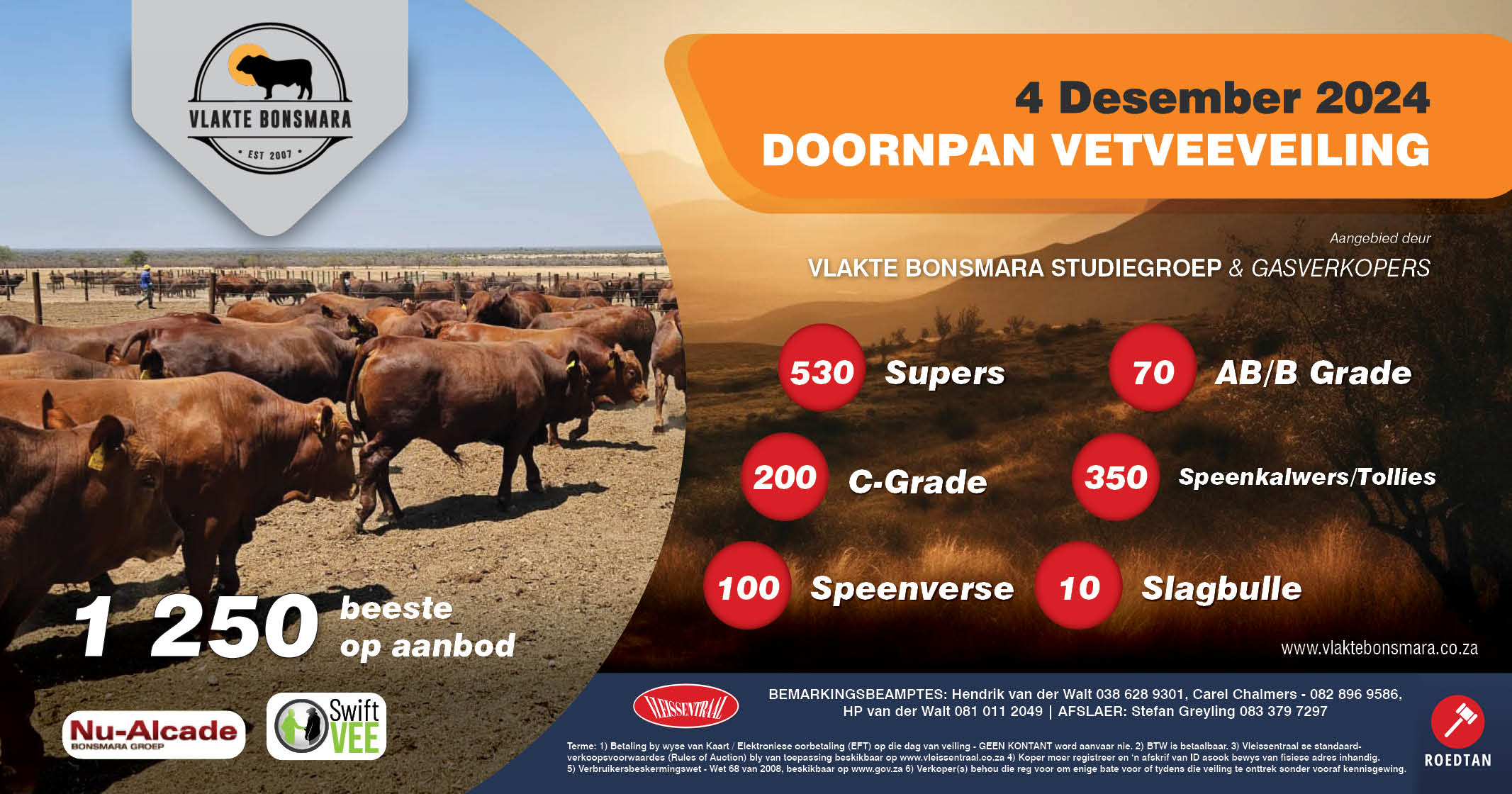Vlakte Bonsmara Vetveeveiling | 4 Desember 2024 | Plaas Doornpan