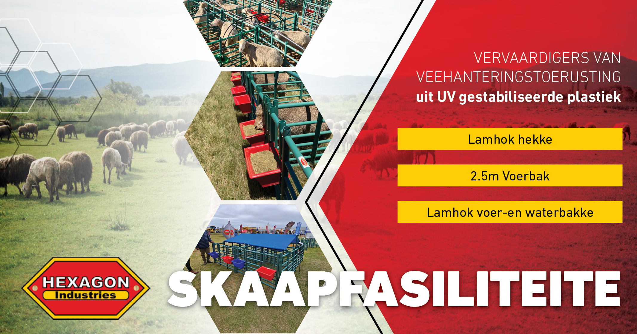 Skaapfasiliteite | Veehanteringstoerusting uit UV gestabiliseerde plastiek | Hexagon