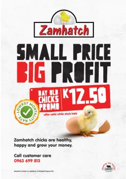Small Price BIG Profit | DAY OLD CHICKS PROMO! | Zamhatch