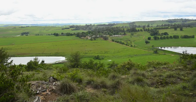 Tender opportunity: 752 HA Dairy Farm in Scenic KZN Midlands | Peter Maskell Auctions CC