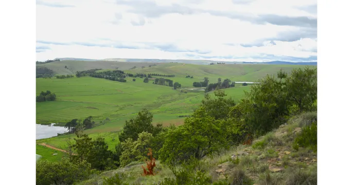 Tender opportunity: 752 HA Dairy Farm in Scenic KZN Midlands | Peter Maskell Auctions CC