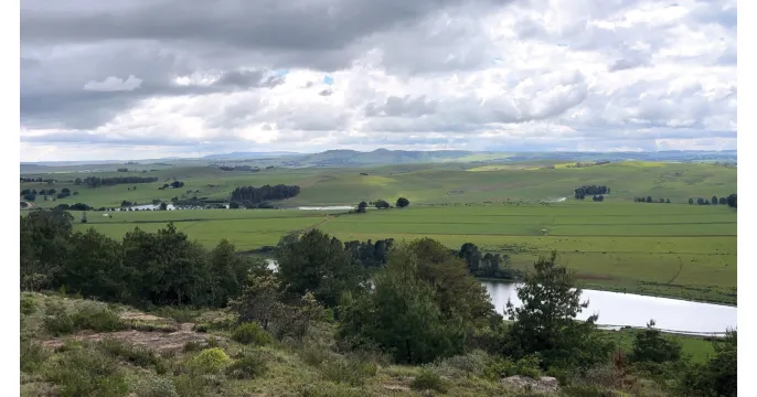 Tender opportunity: 752 HA Dairy Farm in Scenic KZN Midlands | Peter Maskell Auctions CC