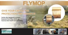 Flymop | Give your cattle the protection they deserve | Four Lakes