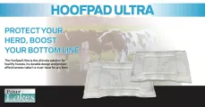 Hoofpad Ultra | Protect your herd, boost your bottom line | Four Lakes
