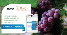 Super Potassium® | DuxAgri