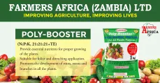 Revitalise your soil with POLY-BOOSTER fertiliser | Farmers Africa