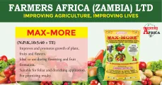 Maximise your harvest with MAX-MORE FINISHER fertiliser | Farmers Africa