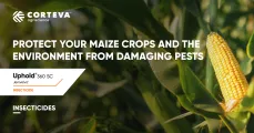 Protect your maize crops and the environment from damaging pests | Corteva Agriscience™