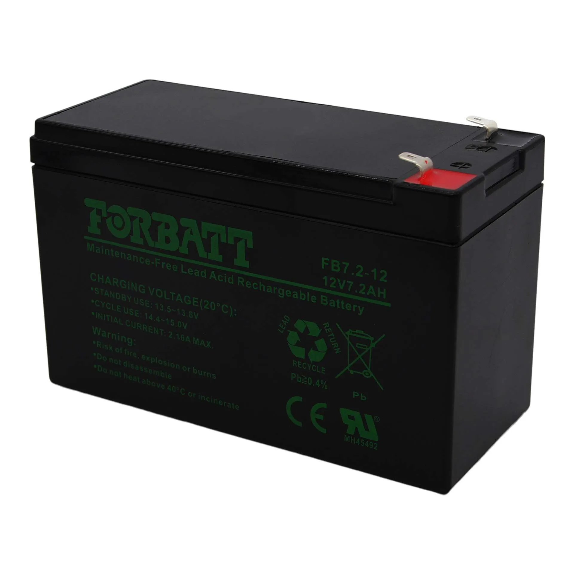 Battery 12v (for Sheep Spray Race) | Tal-Tec