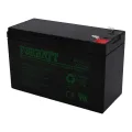 Battery 12v (for Sheep Spray Race) | Tal-Tec