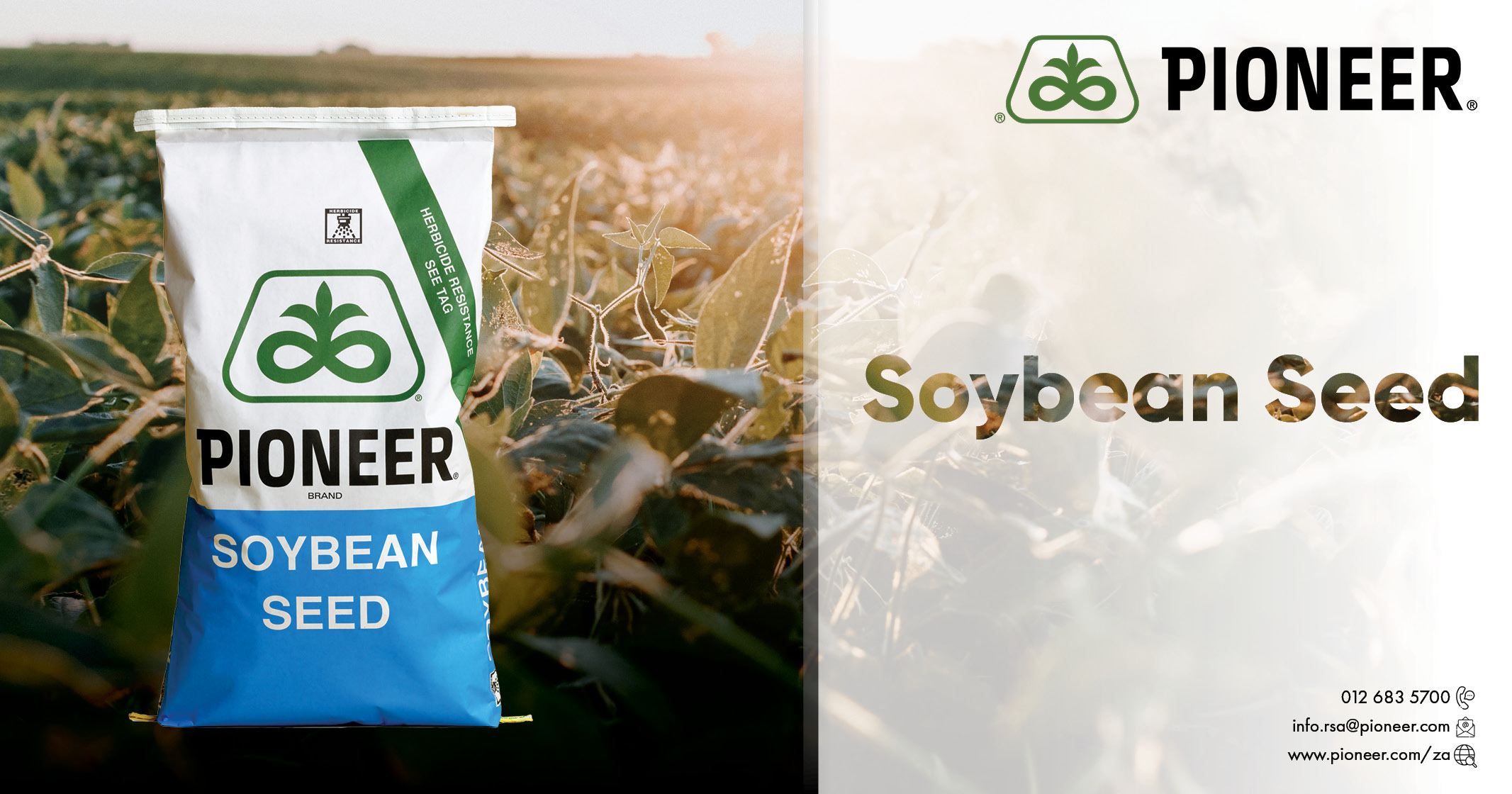 Pioneer Seed supplies maize, soybean, sunflower, and canola seed to commercial farmers in SA