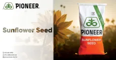 Pioneer Seed supplies maize, soybean, sunflower, and canola seed to commercial farmers in SA
