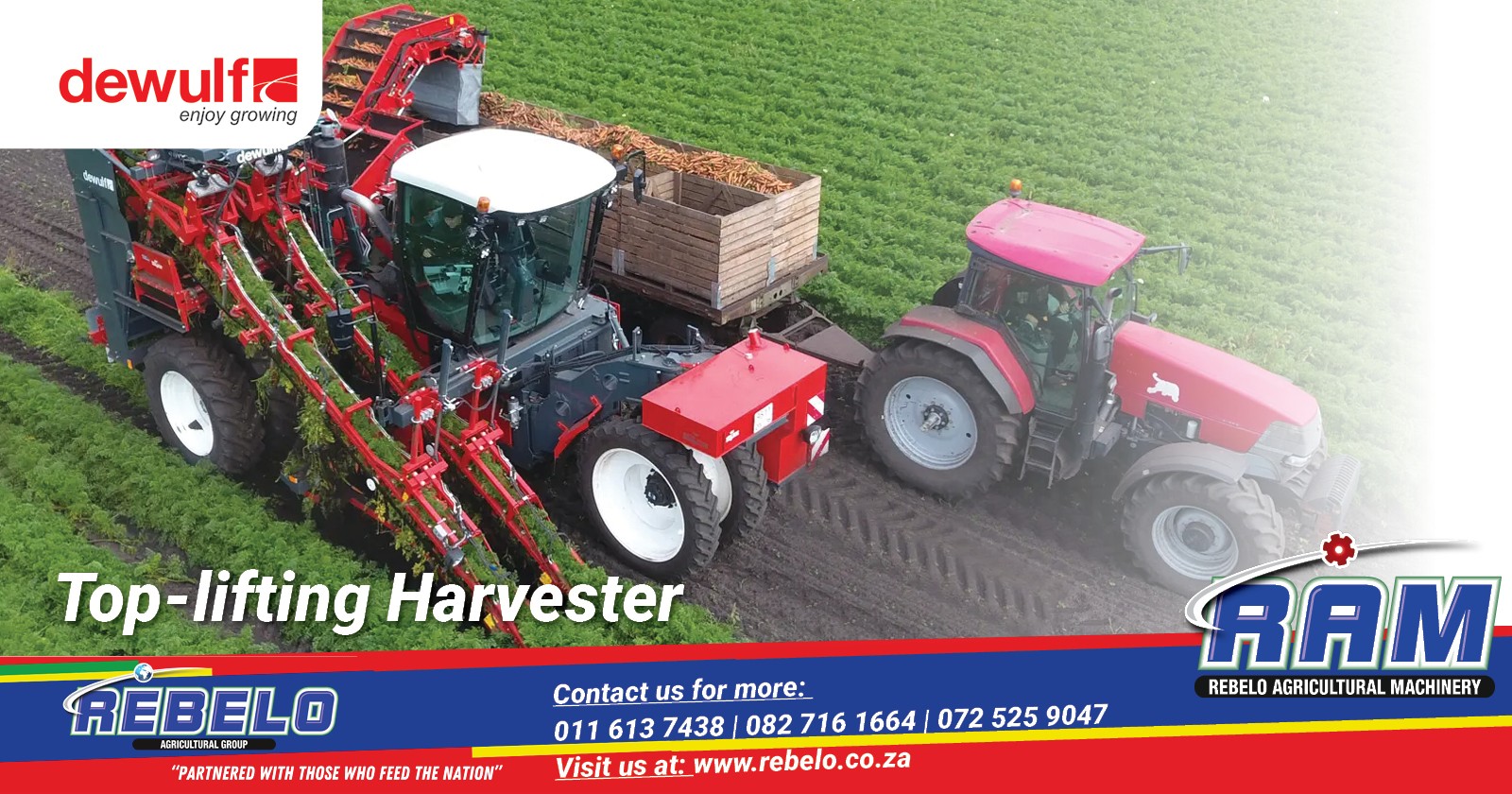 THE top-lifting harvester | Dewulf harvesters | Rebelo Agricultural Group