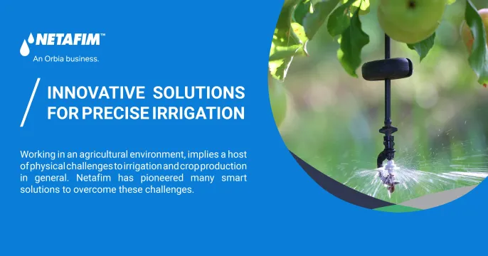 Precision Irrigation from A – Z with Netafim | Netafim