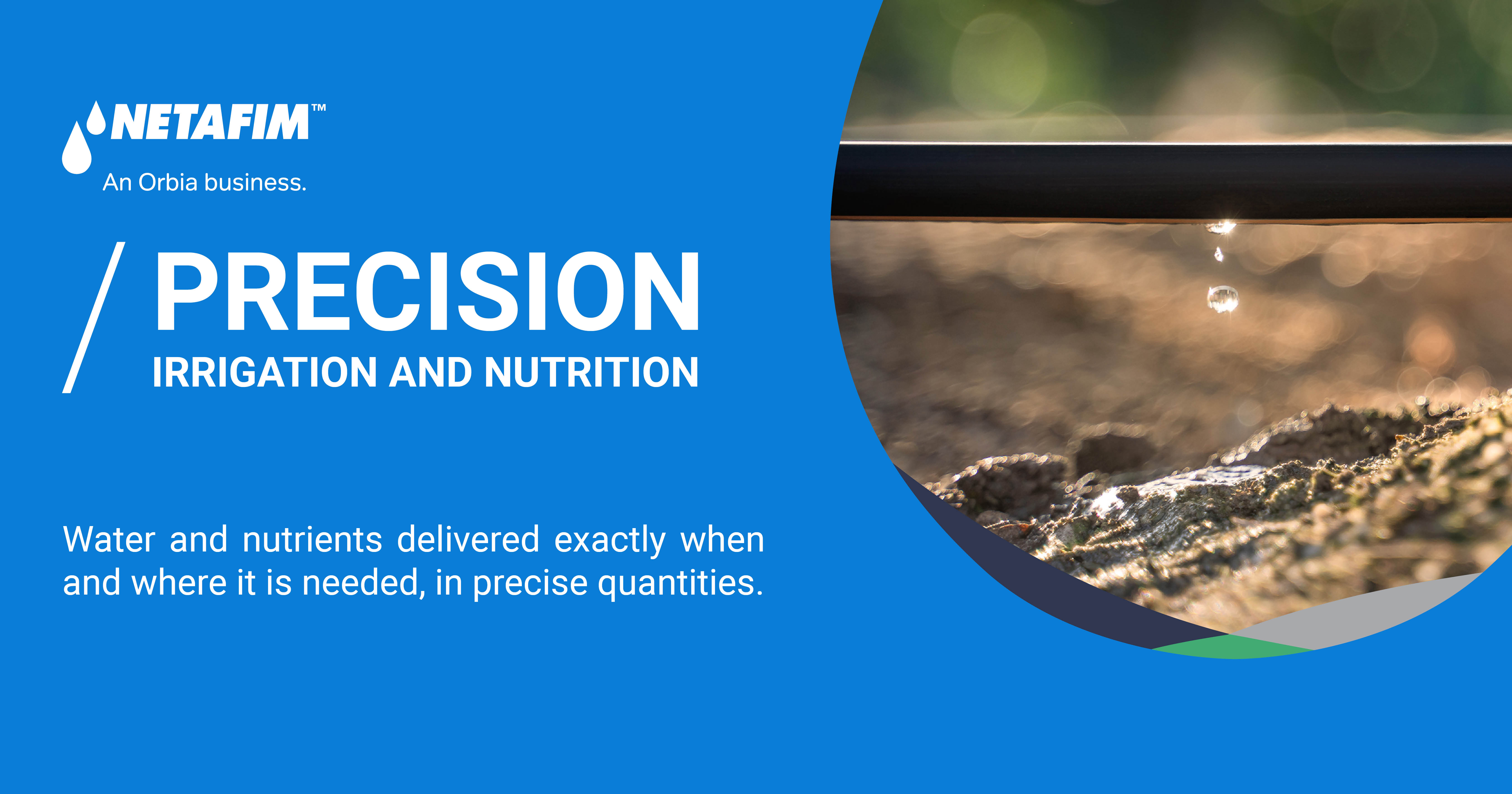 Precision Irrigation and nutrition | Netafim