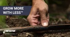 Drip Irrigation Applies Water and Nutrition Directly to the Root Zone | Netafim
