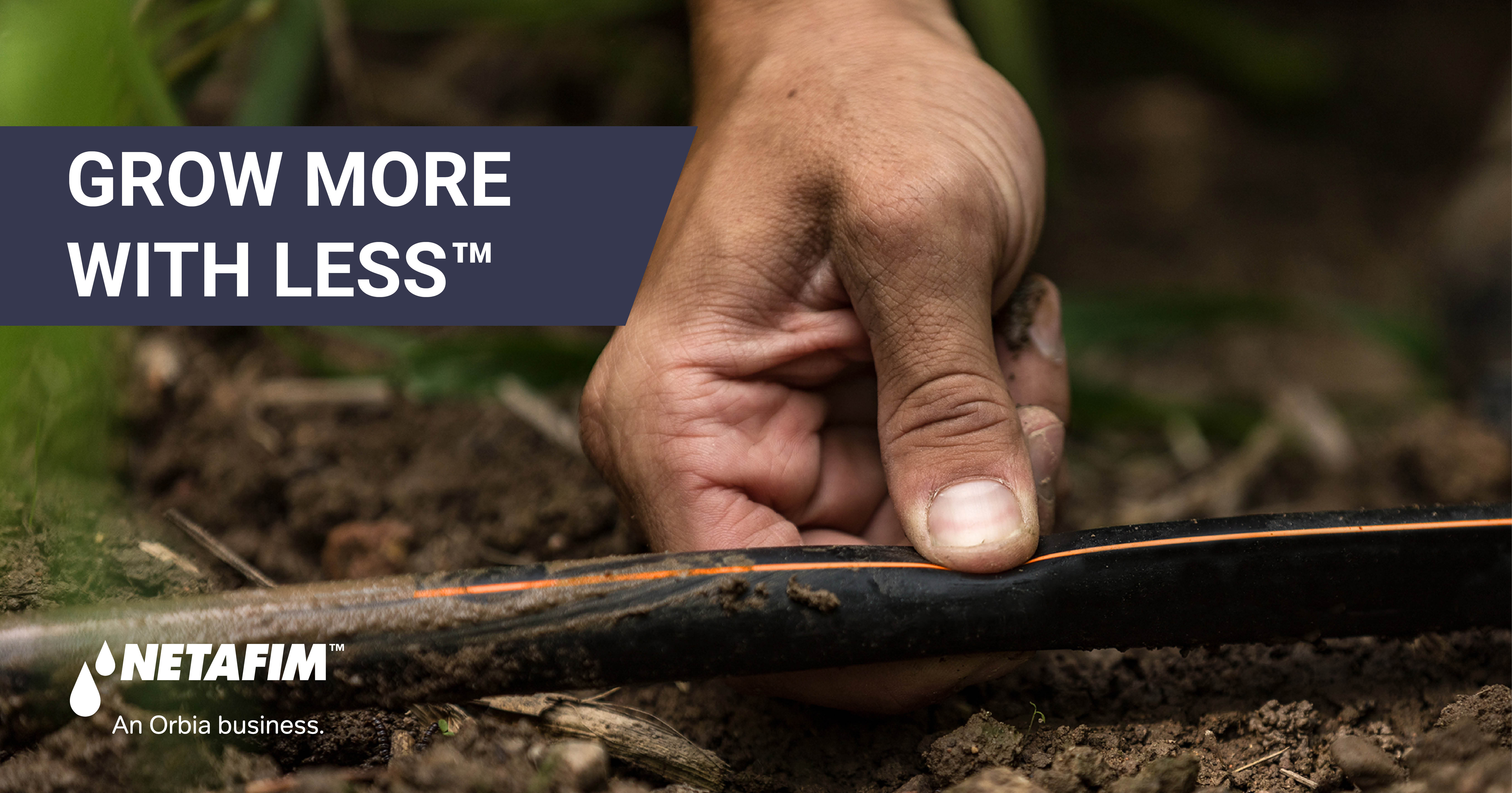 Drip Irrigation Applies Water and Nutrition Directly to the Root Zone | Netafim