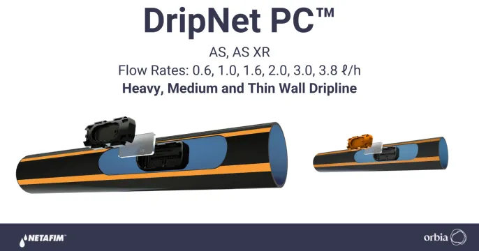 Drip Irrigation Applies Water and Nutrition Directly to the Root Zone | Netafim