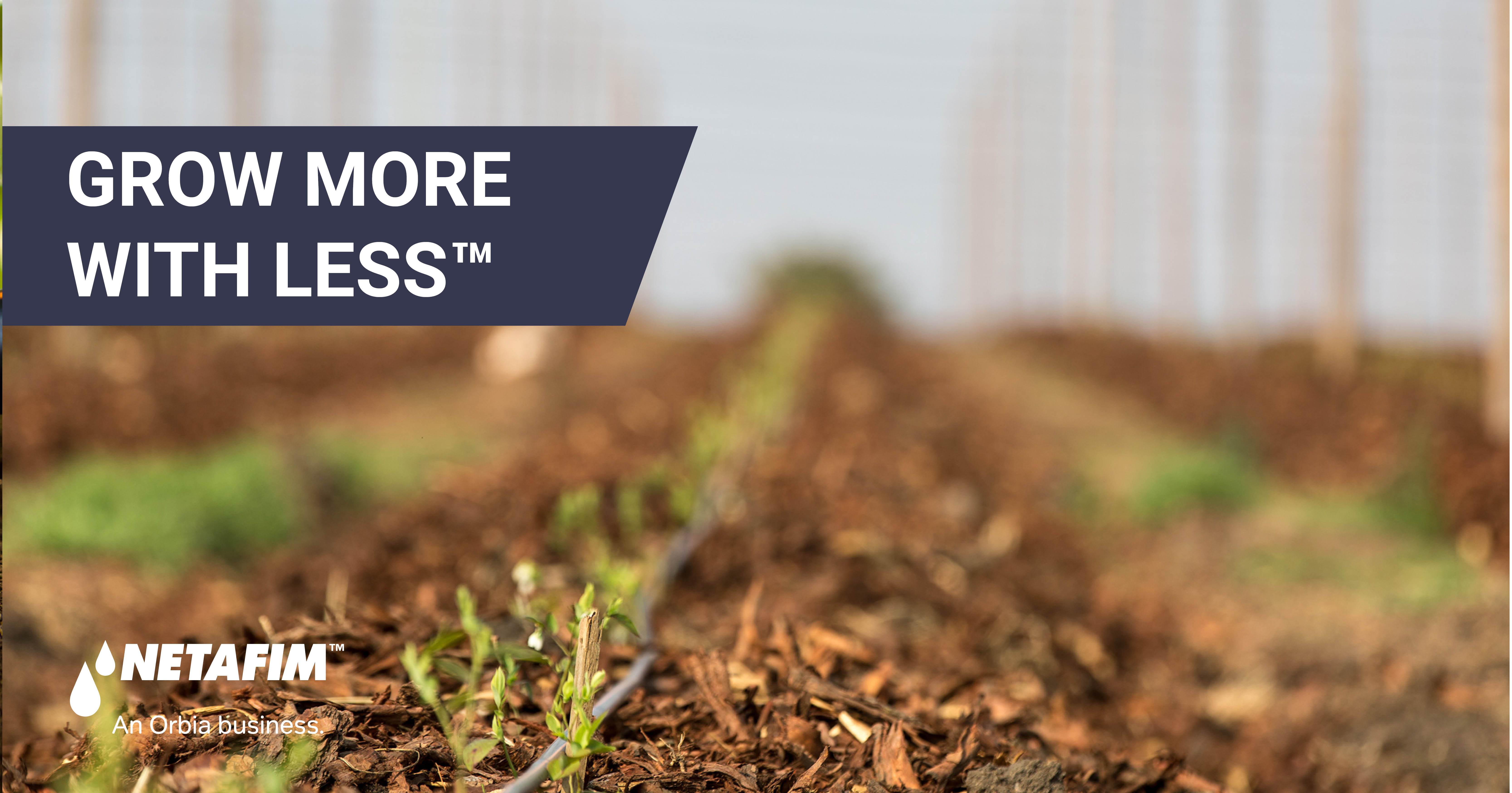 Drip Irrigation Achieves Optimal Results | Netafim