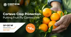 Corteva Crop Protection – Putting fruit fly control first | Corteva Agriscience™