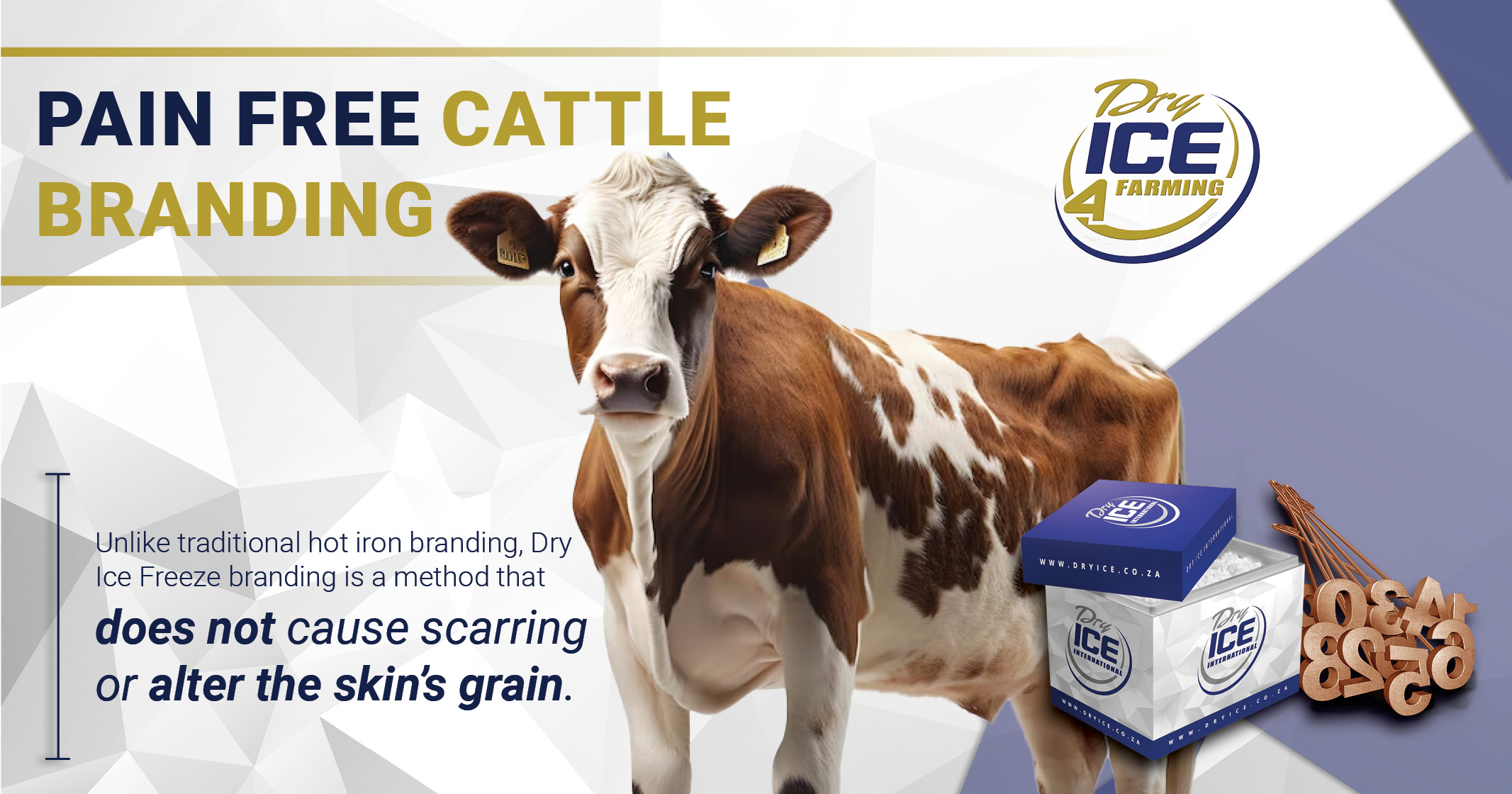 Revolutionising cattle branding pain free and ice cool with Dry Ice | Dry Ice 4 Farming