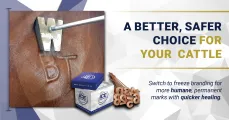 A better and safer choice for cattle branding with dry ice | Dry Ice 4 Farming