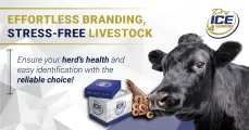 Effortless and stress-free livestock branding with dry ice | Dry Ice 4 Farming