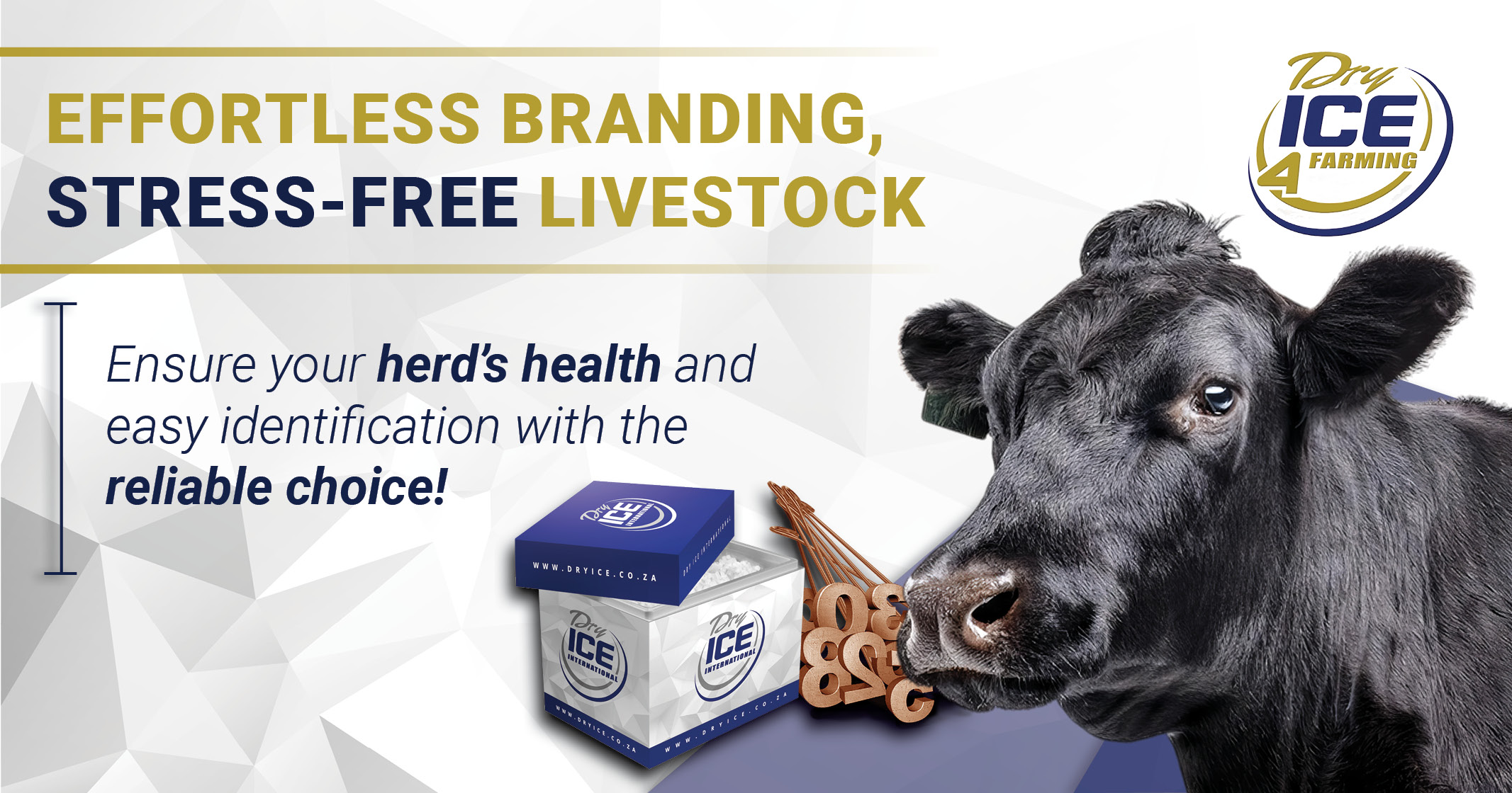 Effortless and stress-free livestock branding with dry ice | Dry Ice 4 Farming