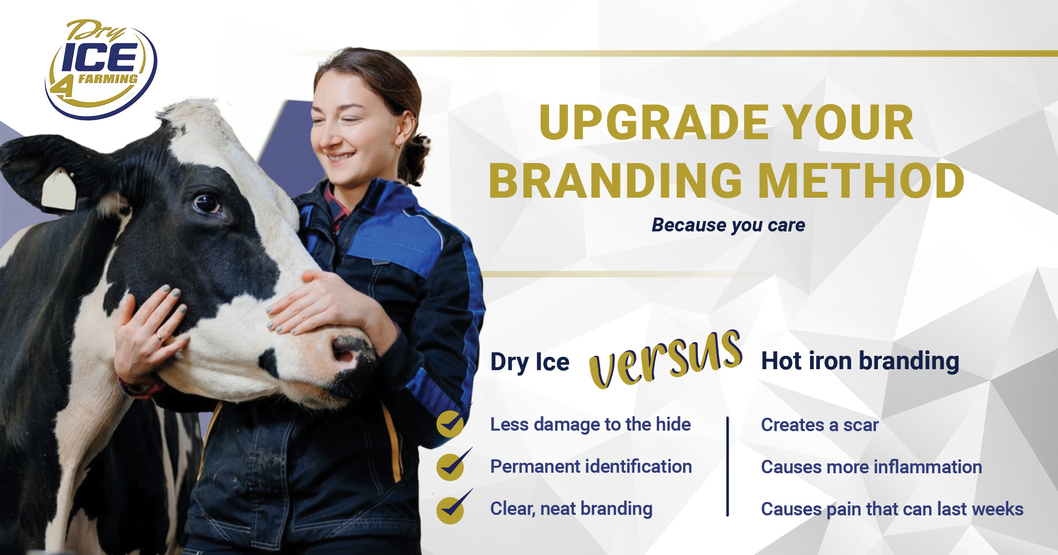 Upgrade your livestock branding with dry ice | Dry Ice 4 Farming