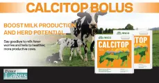 Calcitop Bolus | Boost milk production and herd potential | Four Lakes