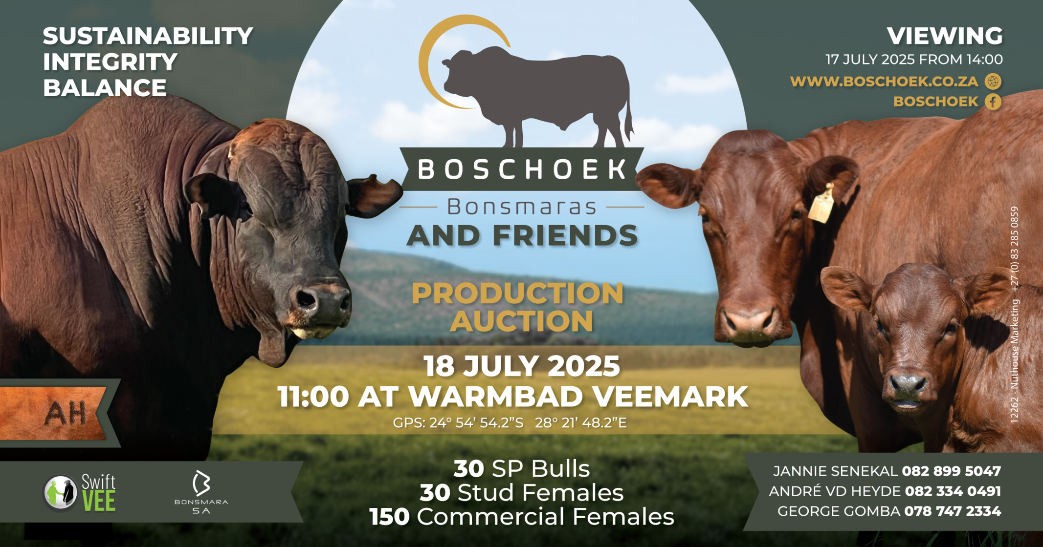 Boschoek Bonsmaras and friends production auction | 18 July 2025 | 11:00 | Warmbad Veemark