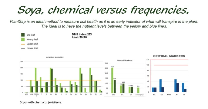 Soya bean production with frequencies | Agri Frequencies