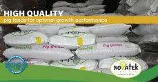 High-quality pig feeds for optimal growth performance | Novatek Animal Feeds