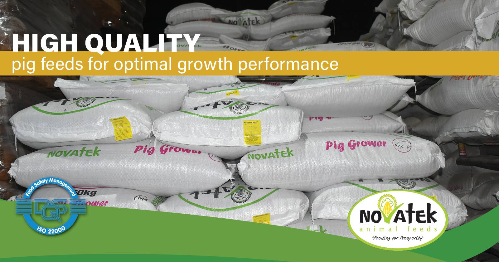 High-quality pig feeds for optimal growth performance | Novatek Animal Feeds