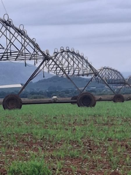 Stetyn 5 toring spilpunt | Agrimar