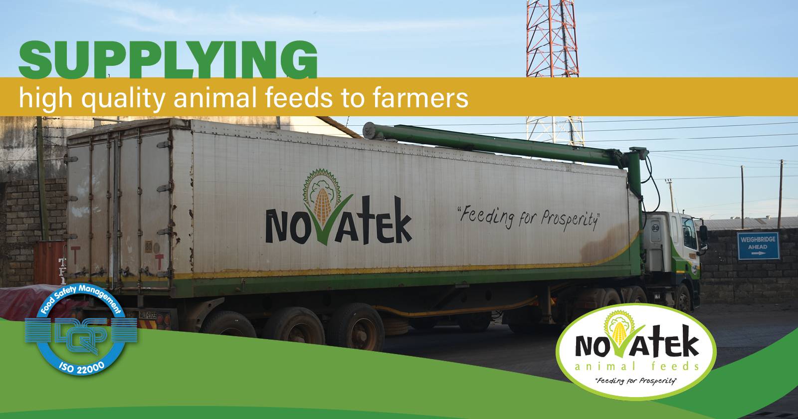 Supplying high-quality animal feeds to farmers | Novatek Animal Feeds