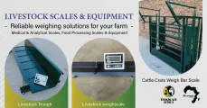 Livestock scales & equipment | The Millennium Group