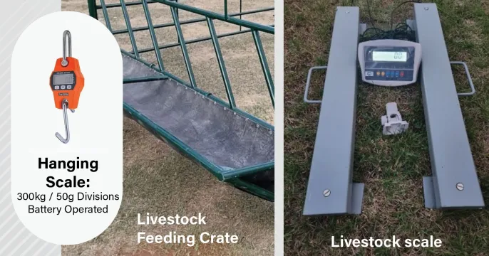 Livestock scales & equipment | The Millennium Group