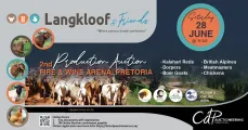 Langkloof & Friends 2nd Production auction | 28 June | Pretoria